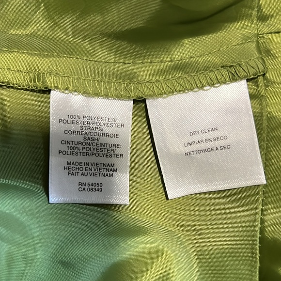 Evan Picone | Light Green Sleeveless V-Neck Chiffon Cocktail Dress (Size 16W) - Picture 7 of 7